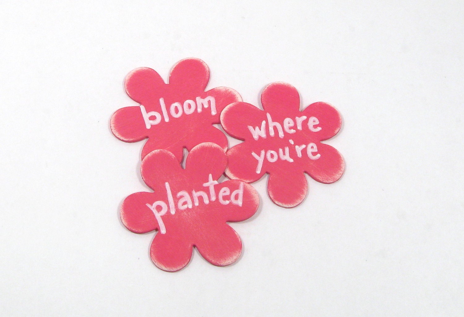 Shabby chic magnets. Bloom where you're Planted.