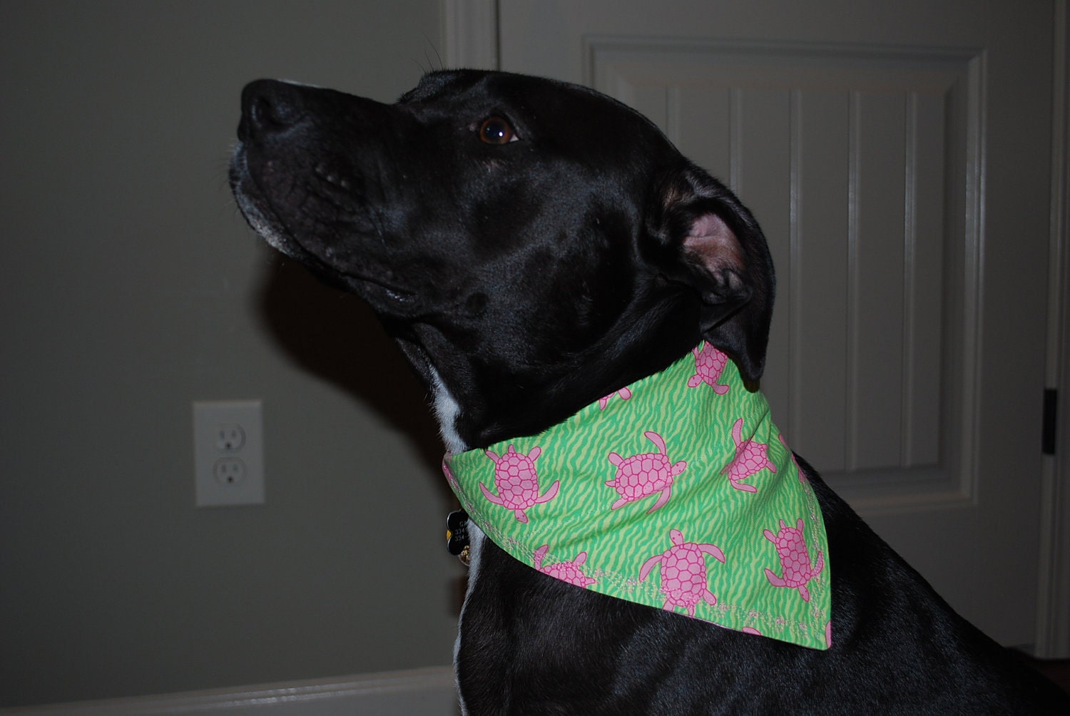 Pink and Green Turtle Collar Scarf- size MEDIUM