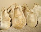 Oyster Shell Necklace