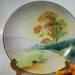 Antique Nippon Plate 1911 1921 A True Treasure