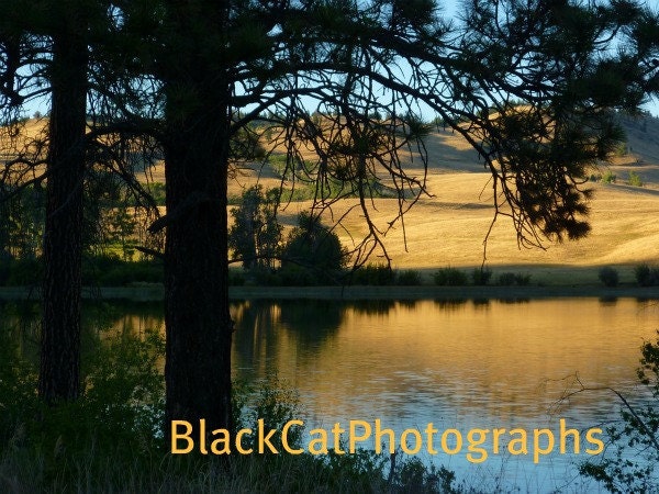 Sunset Photograph golden lake landscape photography nature tree tall grass prairie Canadian scenic print 5x7 grassy hill photo