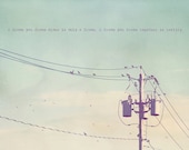 Birds Electric Wire Photo Art Print Power Summer Skies (Version 1) - 8 x 12
