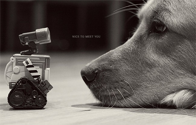 Wall-E Photo Art Print Golden Retriever Dog Robot - 8 x 12