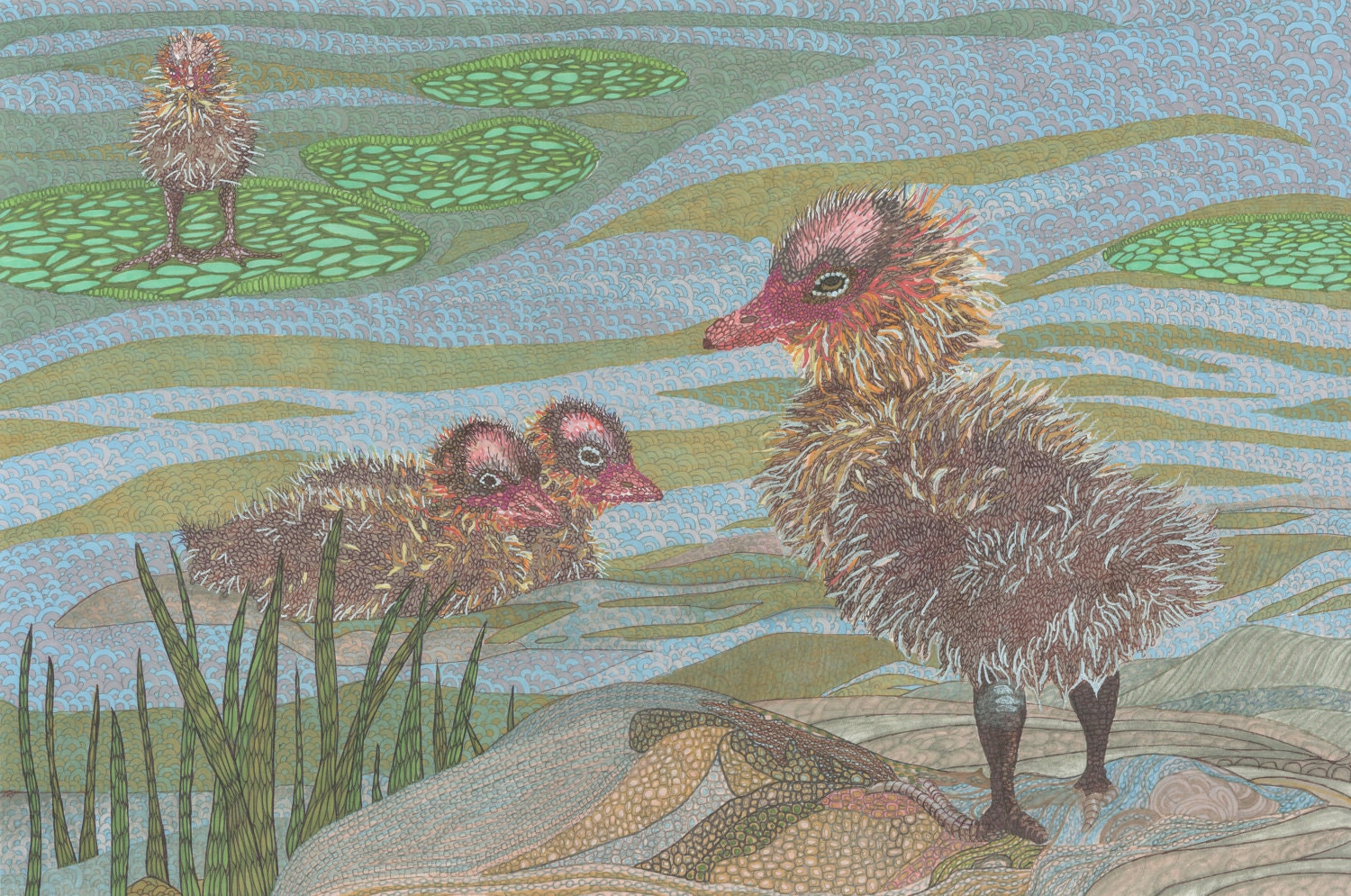 The Good Coot - Bird Art Print