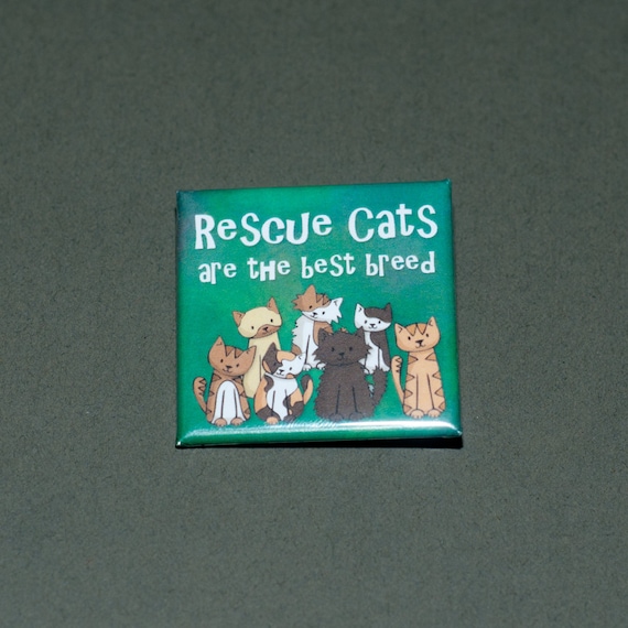 Rescue Cats are the Best Breed