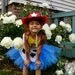 Jesse from Toy Story Tutu Set Toy Story tutus cowgirl tutus