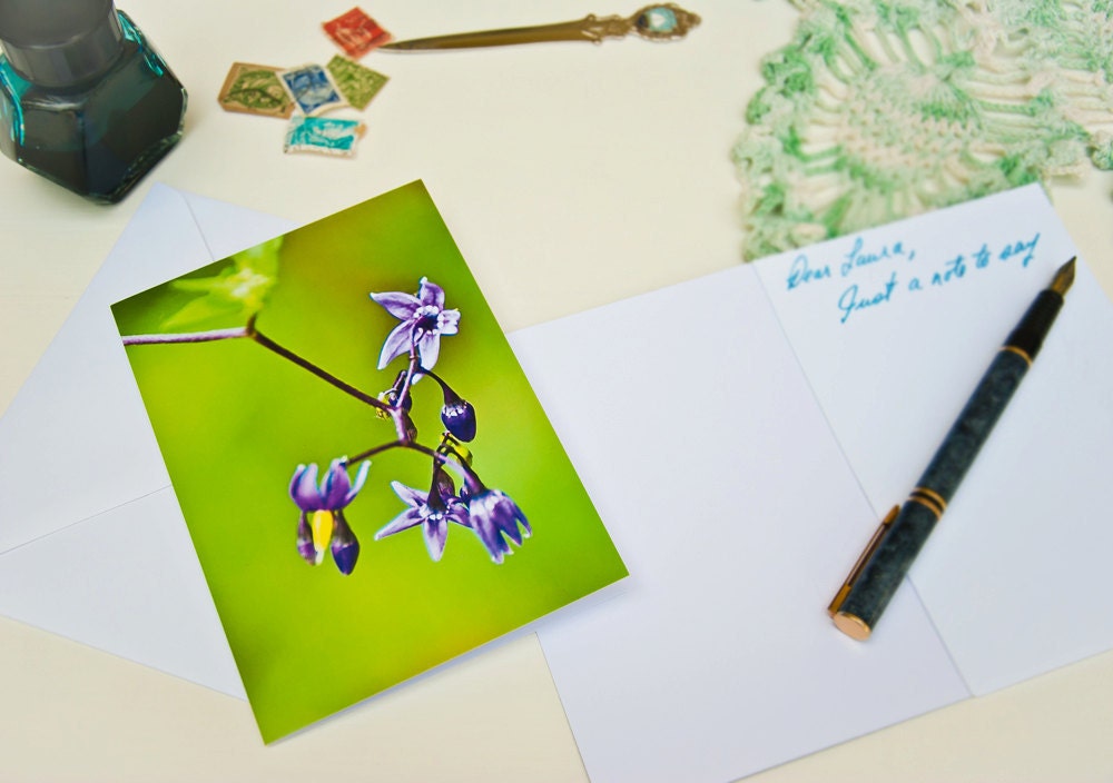 Wildflower Photo Blank Card