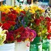 Photo Blank Greeting Card - Flowers at the Farmers Market in Salt Lake City