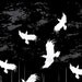 Alfred Hitchcock's Birds - 11x17 Poster