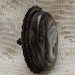 Antique Abalone Cameo Carved Shell Brooch Pendant Free US Shipping