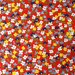 Vintage 1970s Wallpaper- Tiny Flowers by Schumacher