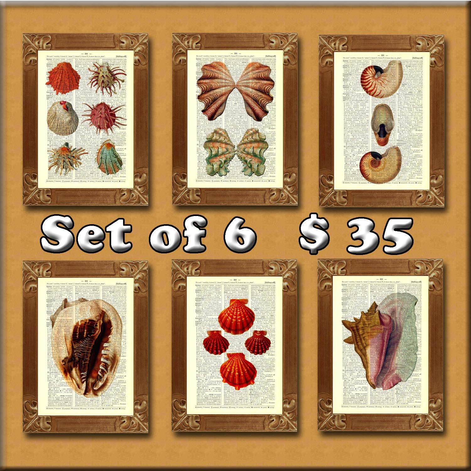 Seashells Print, Shells Vintage Illustrations, Upcycled page art print, mixed media Recycled Dictionary page. Set of 6 prints