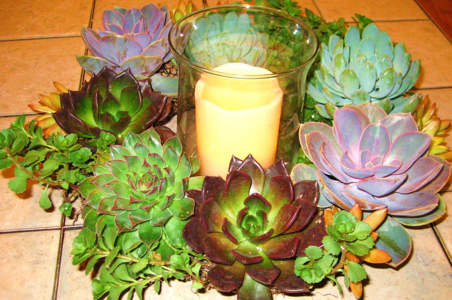 Special Listing for Michelle 12 inch Succulent Living Wreath and MORE Perfect Unique Decor Gift FACEBOOK SPECIAL