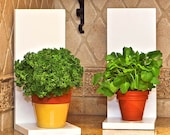IOTA frame - feng shui home decorating, herbs, indoor plant decor, plant gift idea, cool home decor, elegant home decor