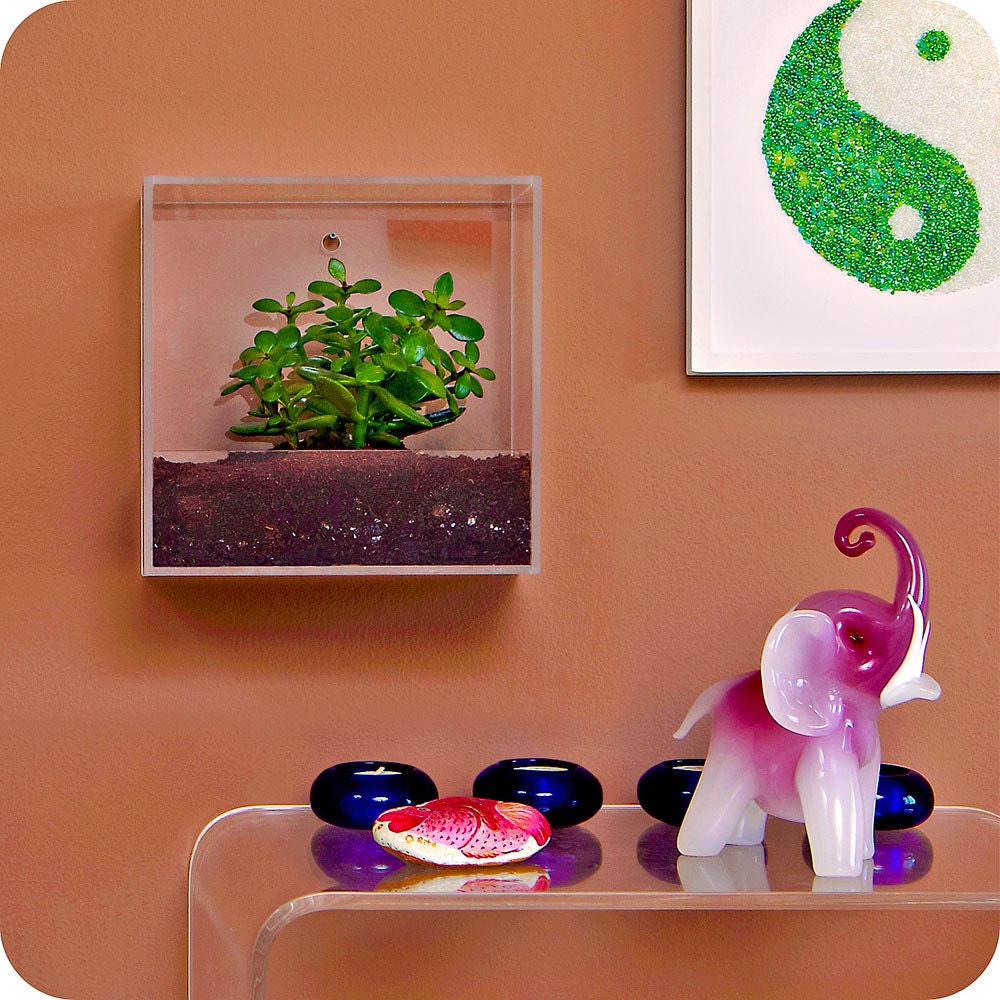 Buy indoor plants gifts - SHAILA frame - feng shui home decorating, elegant home decor,mothers day, indoor plant decor, mothers day gifts, living frames
