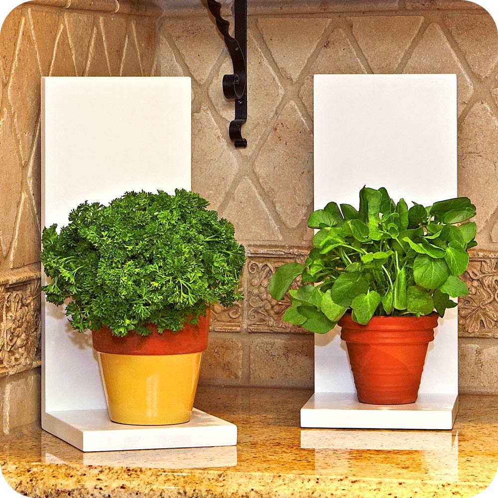 Buy indoor plants gifts - IOTA frame - feng shui home decorating, herbs, indoor plant decor, plant gift idea, cool home decor, elegant home decor