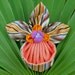 Fabric Flower Tutorial Pattern - Slipper Orchid Brooch by La Todera