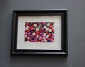Edible Roots Framed (8x10) Original Photography (5x7)