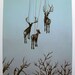 Disappearing Act by Masako Miki - 8 x 10 archival fine art print