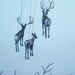 Disappearing Act by Masako Miki - 8 x 10 archival fine art print