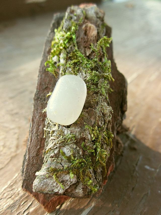 Talk to the Trees Ring