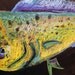 11x14 Limited Edition Chalkboard Drawing Print--January 2012