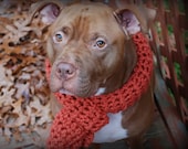 Crochet Dog Scarf Orange for Large Breeds
