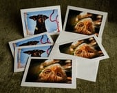 Handmade Note Cards, 6 pack, dog and cat photos recycled paper, ginger cat, doberman, ready to ship