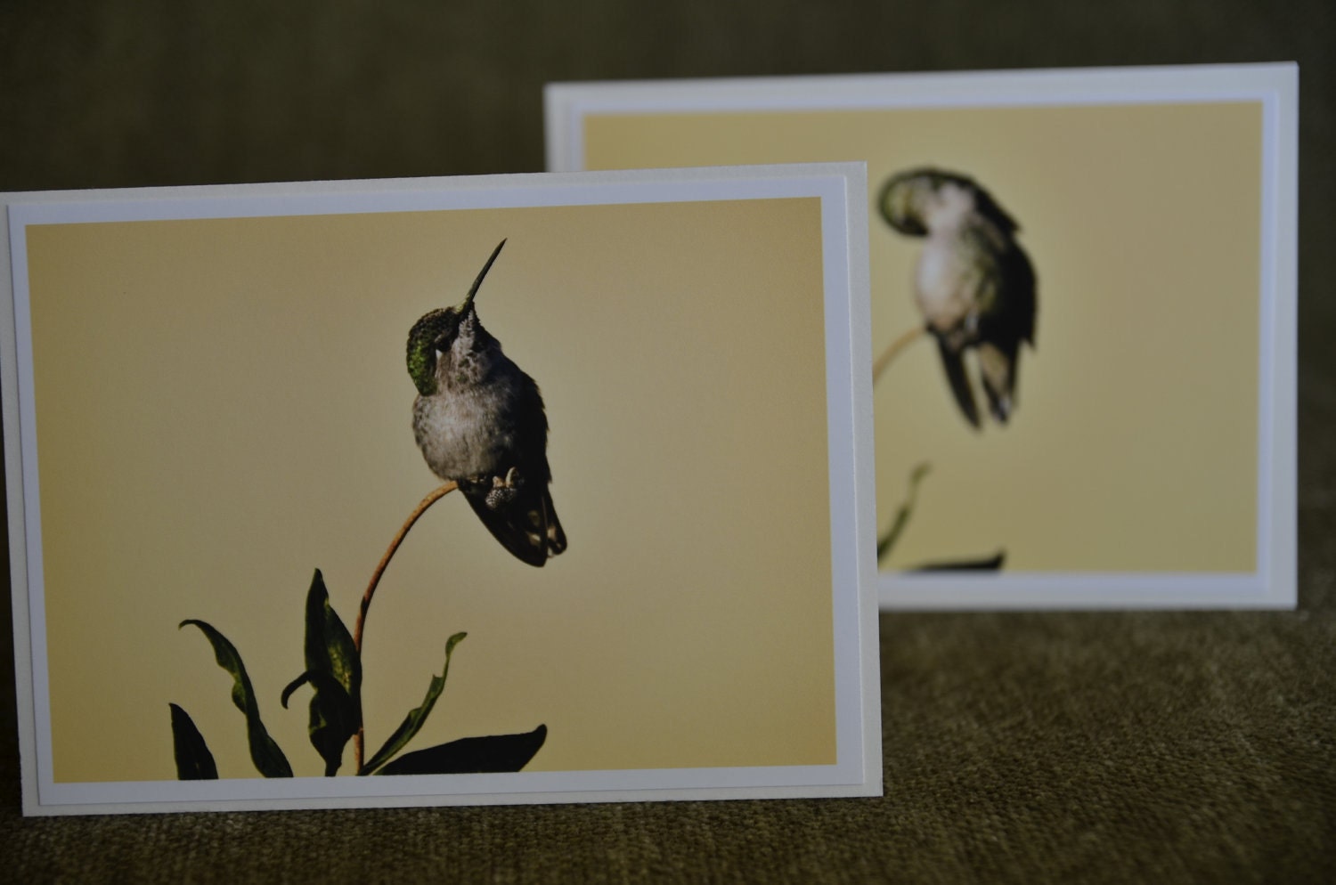 ready to ship 6 pack notecards, hummingbird, yellow background StrongylosPhoto affordable paper goods