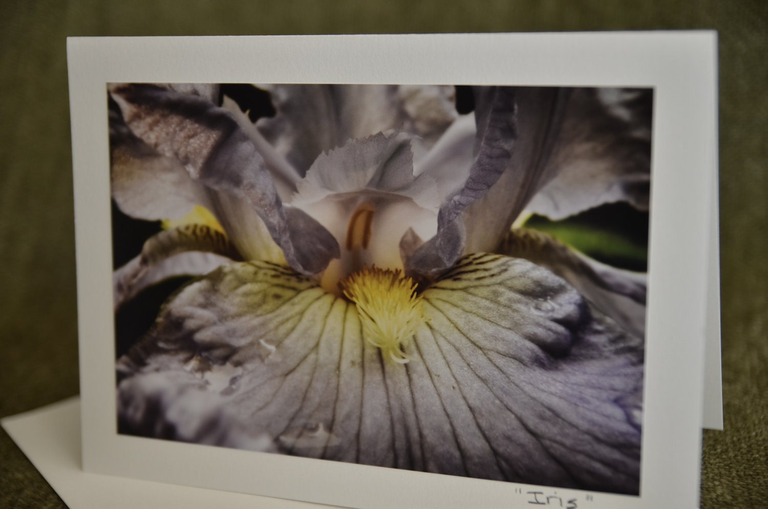 Set of 4, Greeting Cards Iris Flower white yellow purple photos recycled paper eco friendly paper goods