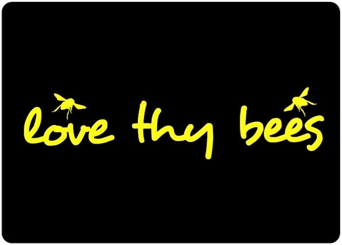 Love Thy Bees Car Window Decal - Honey Bee Car Window Decal - Car Sticker - Beekeeper Bumper Sticker - We love bees