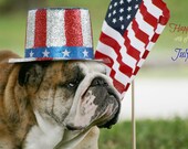 5 x 7 Card of English Bulldog wishing a Happy 4th of July