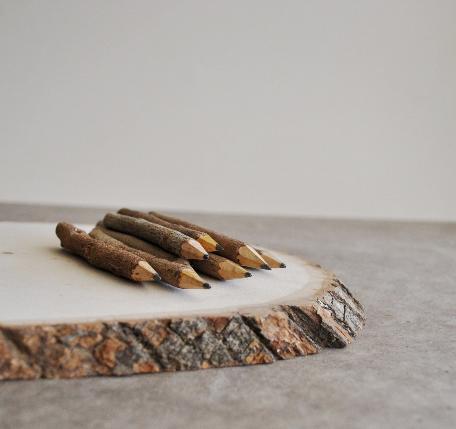 mini twig pencils - 4" (10 pencils)