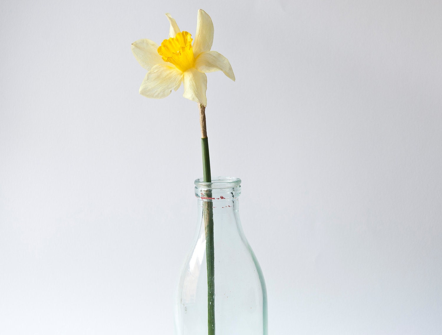 Vintage milk bottle, Soviet glass bottle, vase