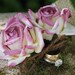 Wedding Ring Pillow With Paper Roses And Moss, Rustic, Shabby Chic Weddings