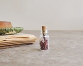 tiny bottle filled with small pieces of branch coral