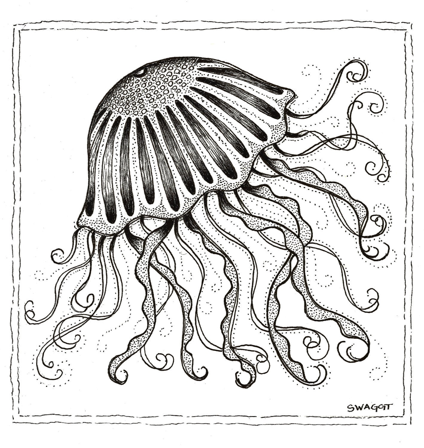 Print of black and white Jellyfish pen and ink drawing