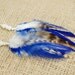 Feather Earrings - Moon Tears