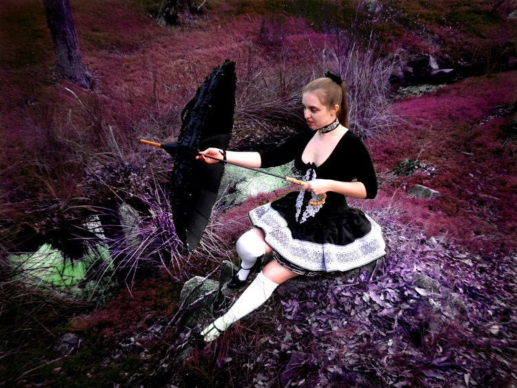 Lost in Wonderland Corset and Skirt - Absolute Devotion