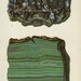Antique Prints, 1950s Precious Stones and Minerals, beautiful wall art vintage coloured illustration gems jewels