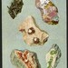Antique Prints, Precious Stones and Minerals, beautiful wall art vintage illustration gems jewels