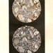 Vintage 1900 Minerals Print Antique Gems Precious Stones print gemstones print, bookplate art print, minerals wall print wall art