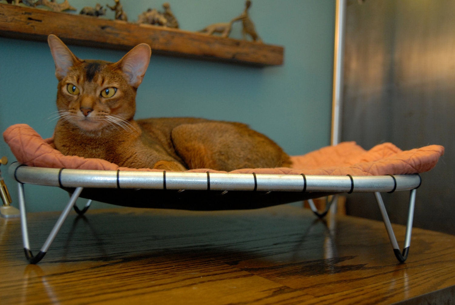 Freestanding, Handmade, Steel Pet Hammock
