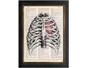 The Sternum and Heart - Anatomy Diagram Art Print on Beautifully Upcycled Vintage Dictionary Paper - 8x10.5