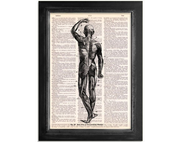 The Superficial Muscles in Black & White - Printed on Upcycled Vintage Dictionary Paper - 8x10.5 Anatomy Art Print