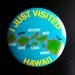 A Visit to Hawaii Pin