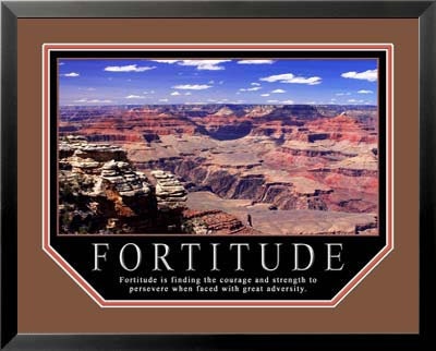 Motivational Posters Framed on Motivational Poster Fortitude 11x14 Framed By Wallsthatinspire