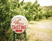Winery / Vineyard Photograph - 11x14 on a 1.5" "standout" floating frame (sign, landscape, nature, Lake Chelan, Eastern Washington Wine)