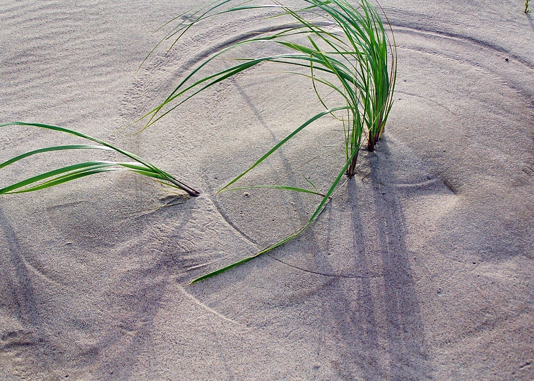 Drawing Lines in the Sand- 5x7 Fine Art Nature Photograph sand, beach, lake, michigan, sun, twilight, home decor, cottage, wall decor, gift