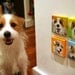 Series of 4 miniature custom paintings of YOUR DOG (3x3")